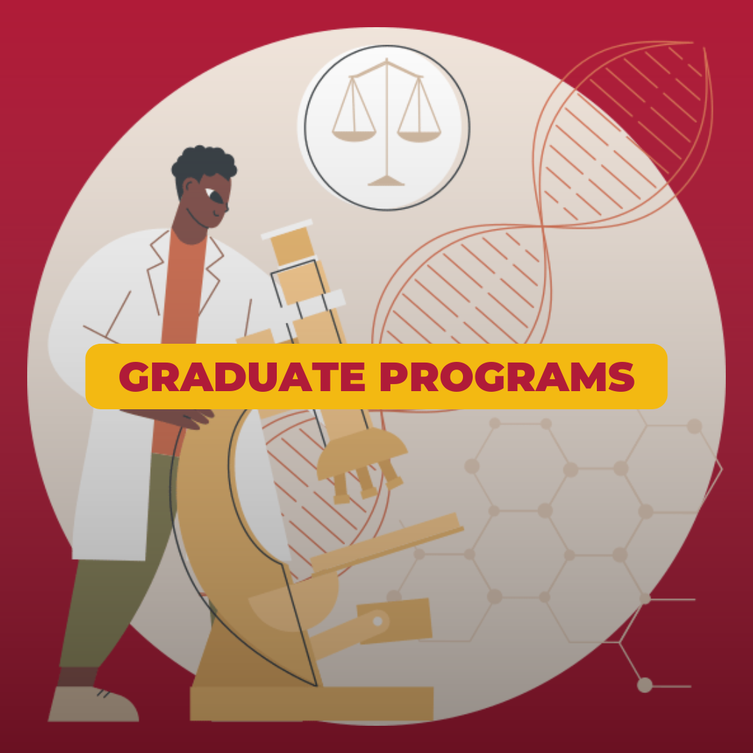 Undergraduate Programs